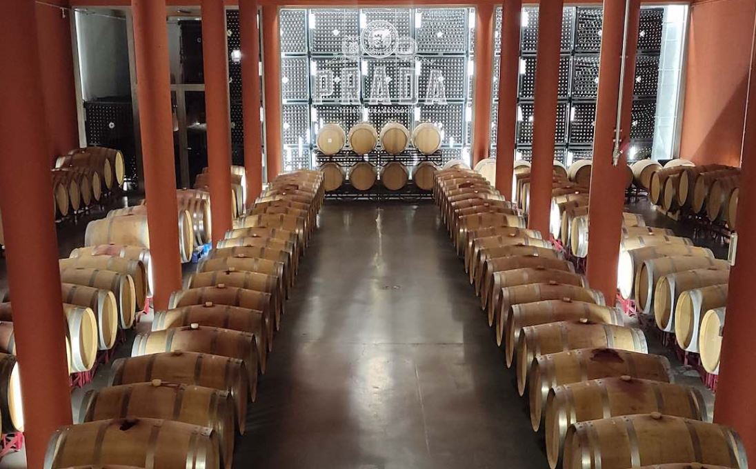 Seis vinos de Prada logran otros tantos sobresalientes en la guía SEVI 2022 1