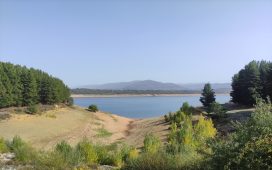 barcena pantano