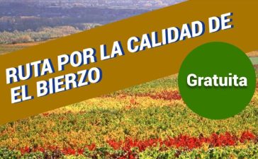 La Ruta por la calidad del Viñedo se celebra el 23 de octubre con nuevo itinerario y visita al Castro de la Ventosa 10