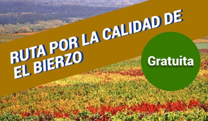 La Ruta por la calidad del Viñedo se celebra el 23 de octubre con nuevo itinerario y visita al Castro de la Ventosa 1