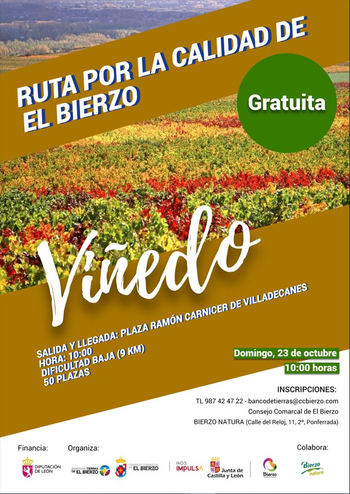 La Ruta por la calidad del Viñedo se celebra el 23 de octubre con nuevo itinerario y visita al Castro de la Ventosa 2