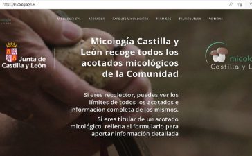 La Junta estrena ‘MICOLOGIA Castilla y León’, un portal web y una APP que recoge todos los acotados y parques micológicos de la Comunidad 3