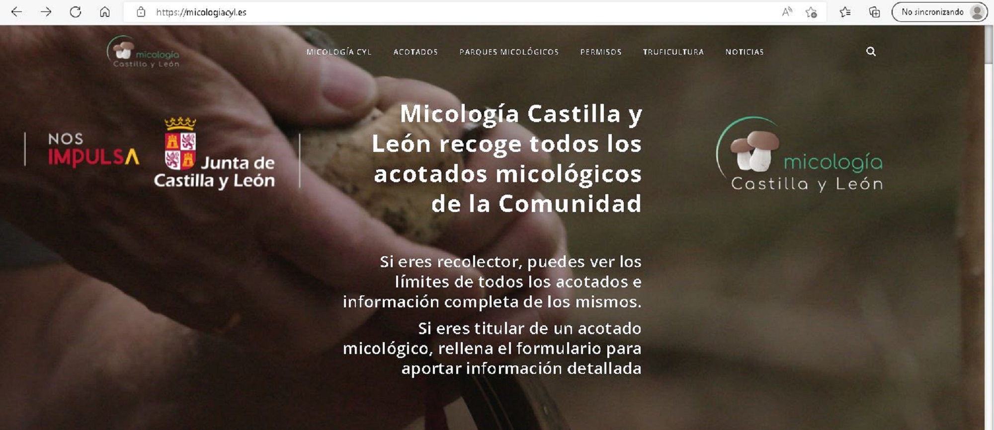 La Junta estrena ‘MICOLOGIA Castilla y León’, un portal web y una APP que recoge todos los acotados y parques micológicos de la Comunidad 1