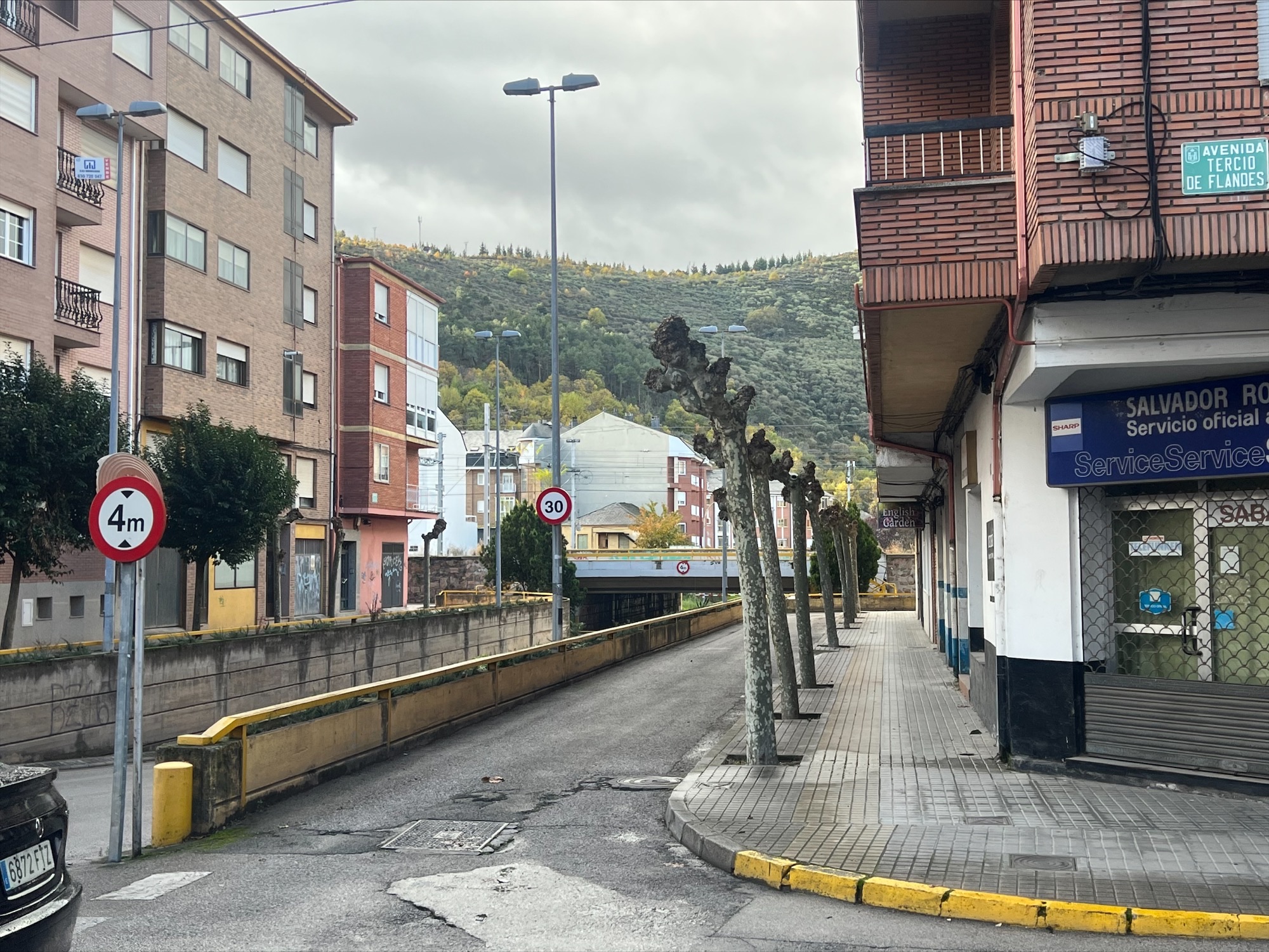 Continúa la poda a lo largo de la ciudad, habiendo podado ya casi el 40% de los árboles existentes 1