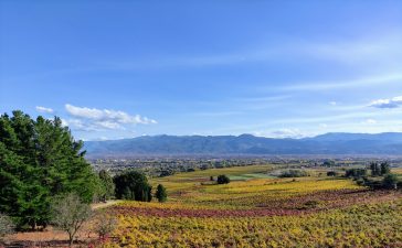 Planes de ocio en Ponferrada y El Bierzo para el fin de semana, 11 al 13 de noviembre 2022 7