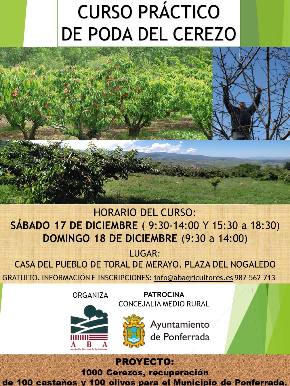 Medio Rural y la Asociación Berciana de Agricultores organizan un curso práctico de poda del cerezo 2