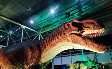 Abre Dinosauria Experience European Tour en el Recinto Ferial de Ponferrada 9