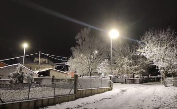 Un manto de nieve cubre al Bierzo con la llegada de las borrascas Gerard y Fien 9