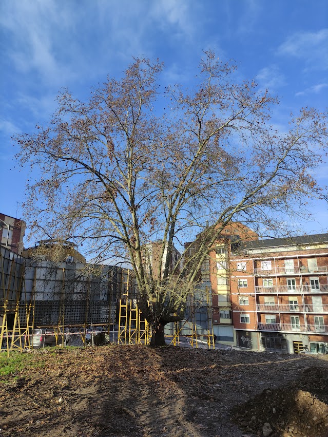 El parque del Plantío gana 1800 metros al asfalto con la ampliación que ya se está ejecutando 2