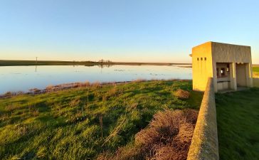 Las lluvias de las últimas semanas permiten disfrutar de las lagunas de Villafáfila en su máximo esplendor 8