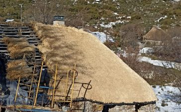 Restaurado el tejado de una palloza en Campo del Agua, Villafranca del Bierzo 2