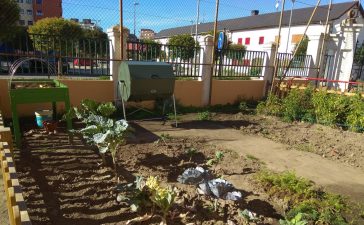 Comienzan las labores de acondicionamiento de los huertos escolares de siete centros del Municipio 3