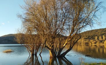 La Casa del Parque de Las Médulas, organiza una nueva "acción Libera" de limpieza y conservación del Lago de Carucedo 7