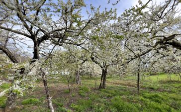 Planes de ocio en Ponferrada y El Bierzo para el fin de semana, Semana Santa 2023 3