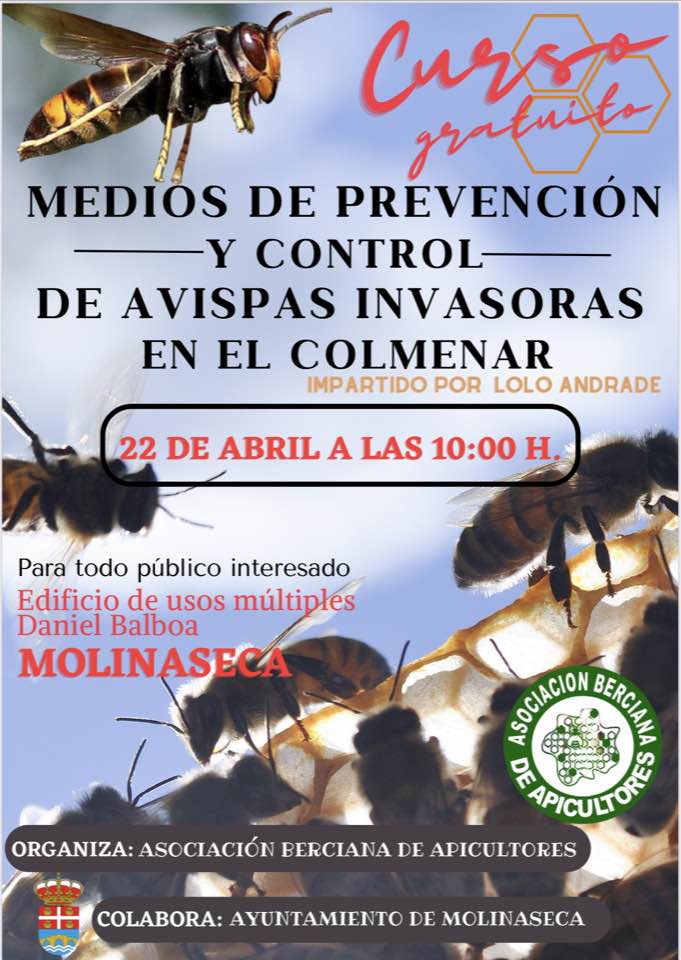Charla sobre medios de prevención y control de avispas invasores en Molinaseca 2