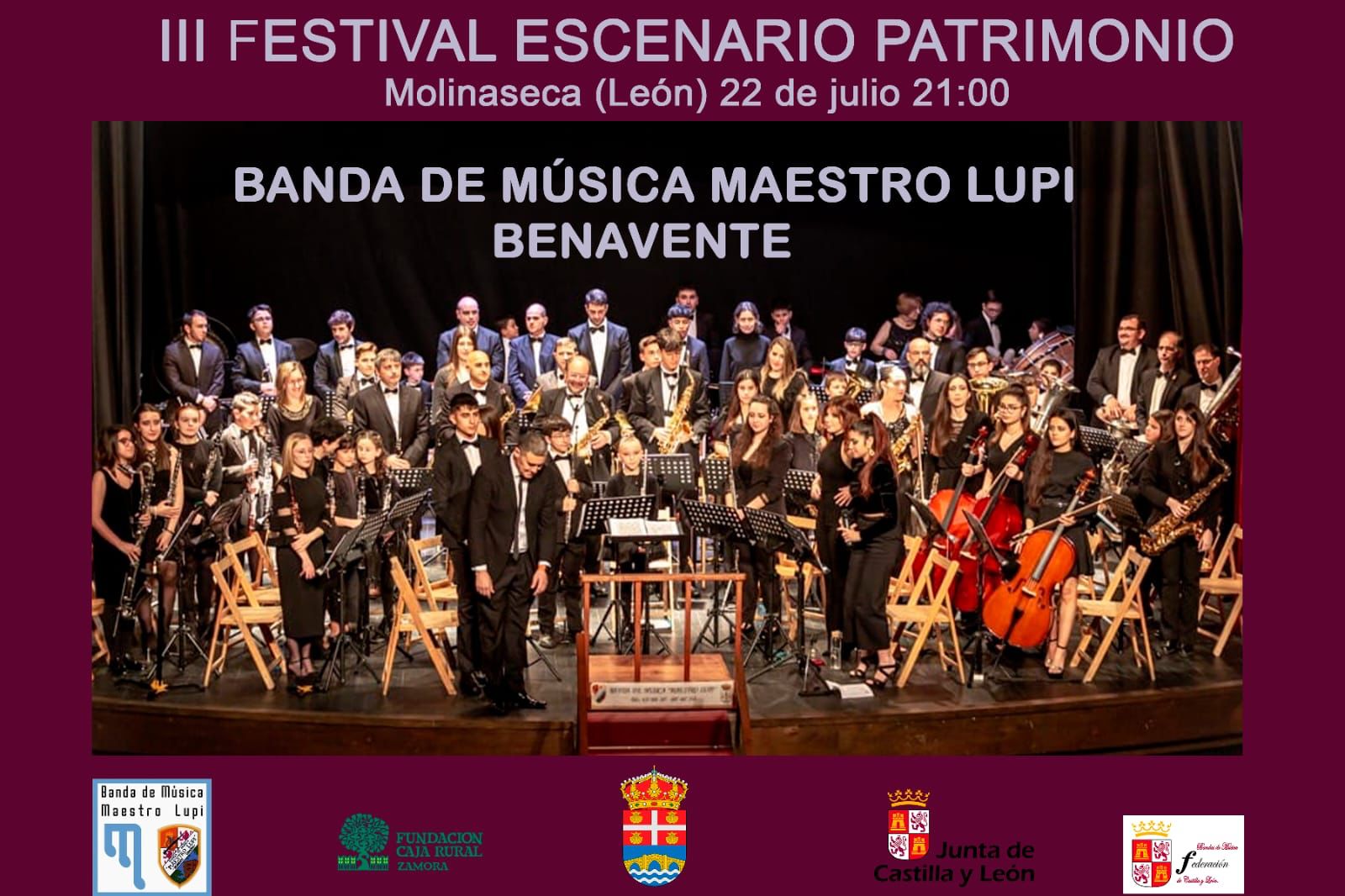 Banda Maestro Lupi