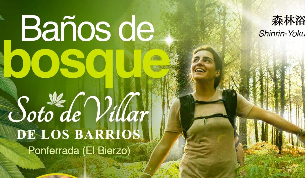Este verano llega una nueva edición de los baños de bosque en el Soto de Villar 1