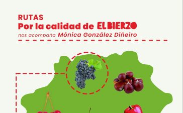 El Consejo Comarcal abre el plazo de inscripción para la Ruta por la Calidad del Viñedo 2