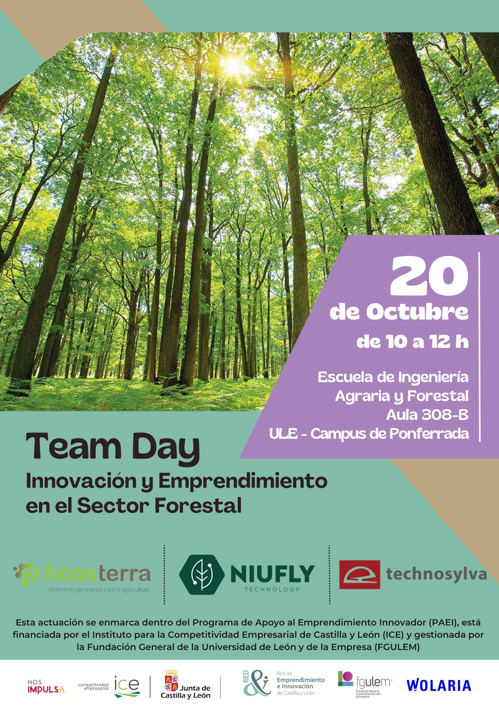 Startups, emprendedores y estudiantes se encontrarán en el Campus de Ponferrada para celebrar el ‘Team Day Forestal’ 2