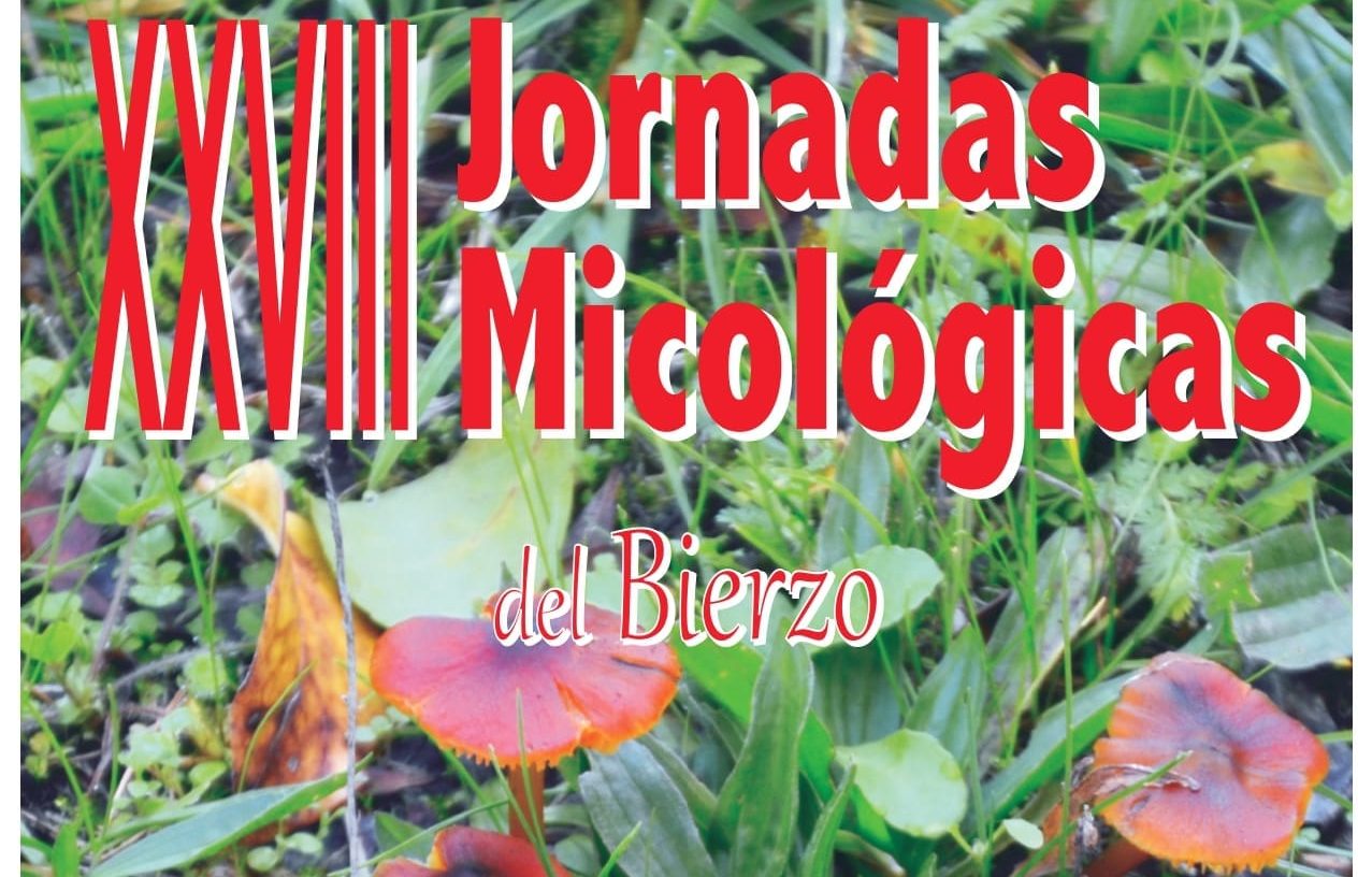 La Casa de la Cultura de Ponferrada acogerá la XXVIII Edición de las Jornadas Micológicas del Bierzo 1