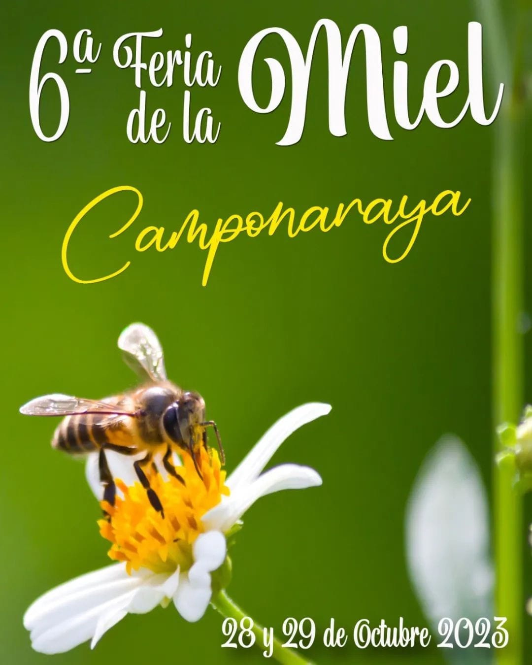 La 6ª edición de la Feria de la Miel llega a Camponaraya con total incertidumbre en el sector 3