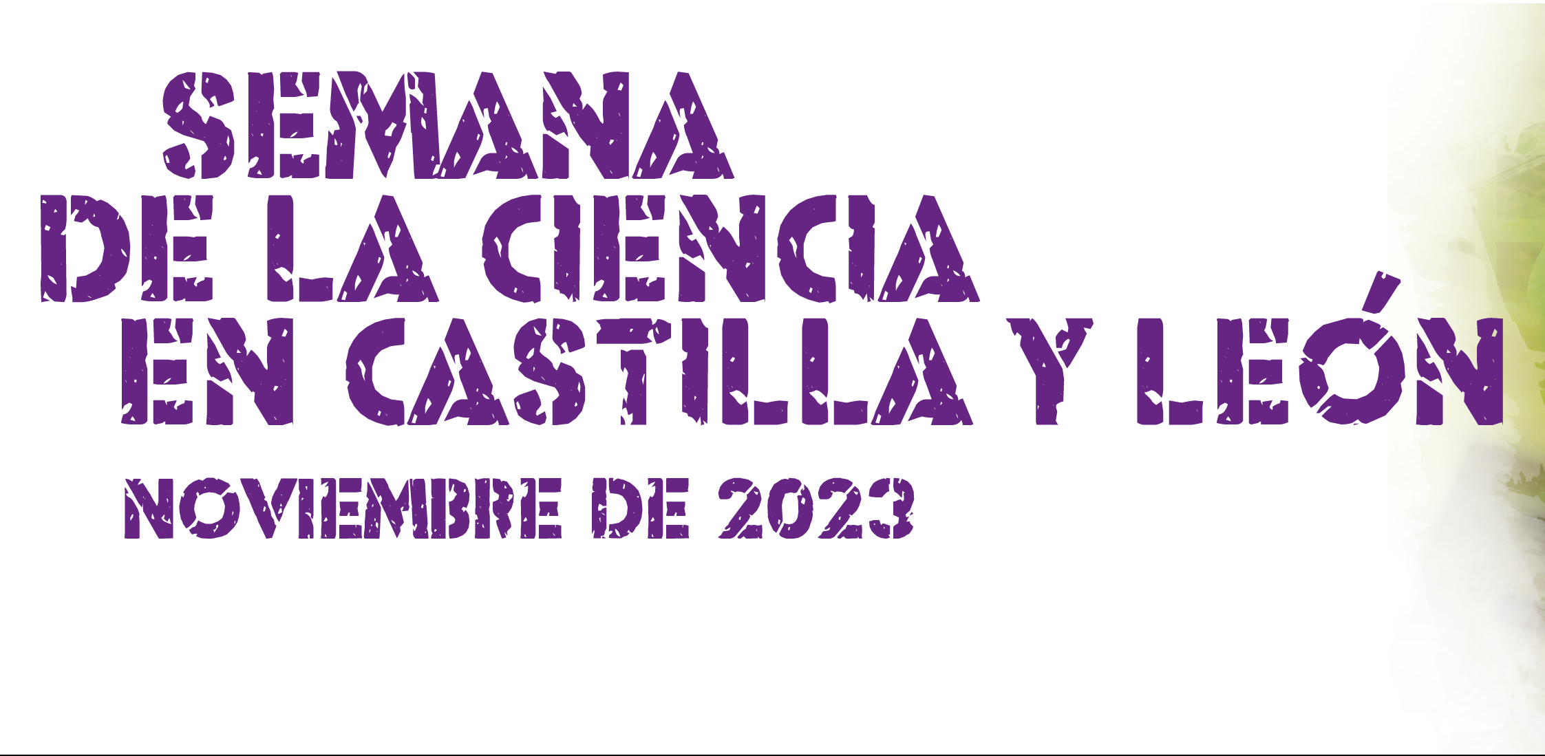 La Semana de la Ciencia llenará de actividades los Campus de la ULE de León y Ponferrada 1