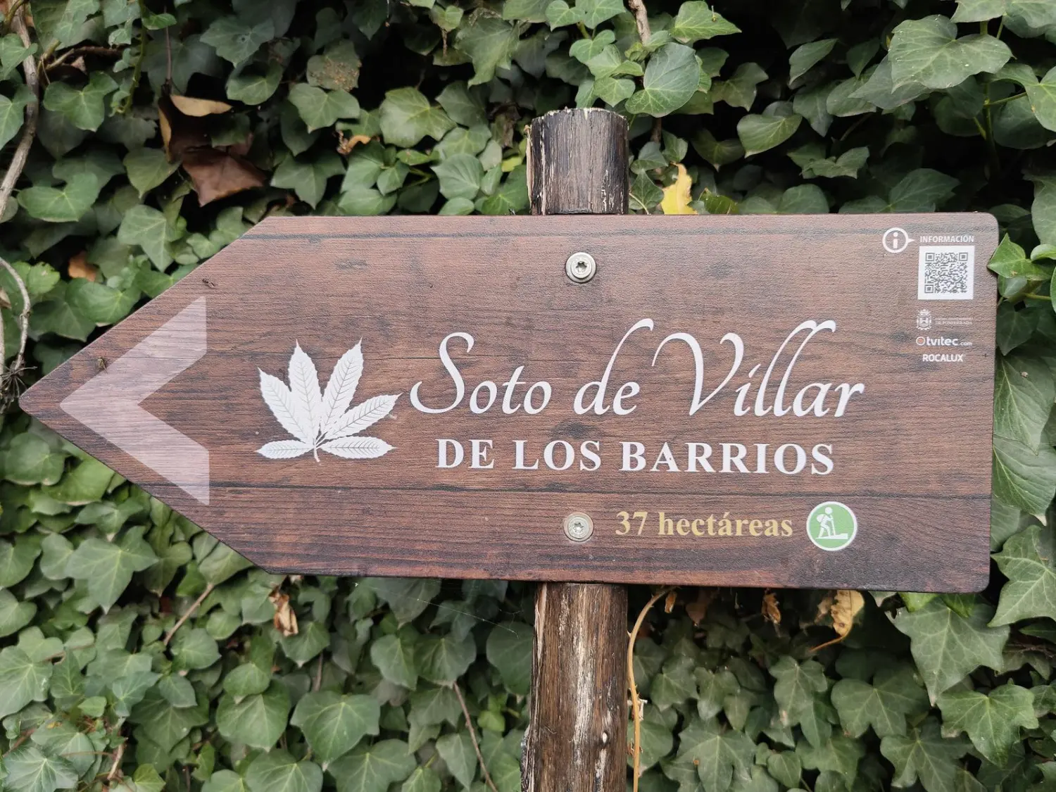 El Soto de Villar de los Barrios elegido Bosque del año en España 2024 1