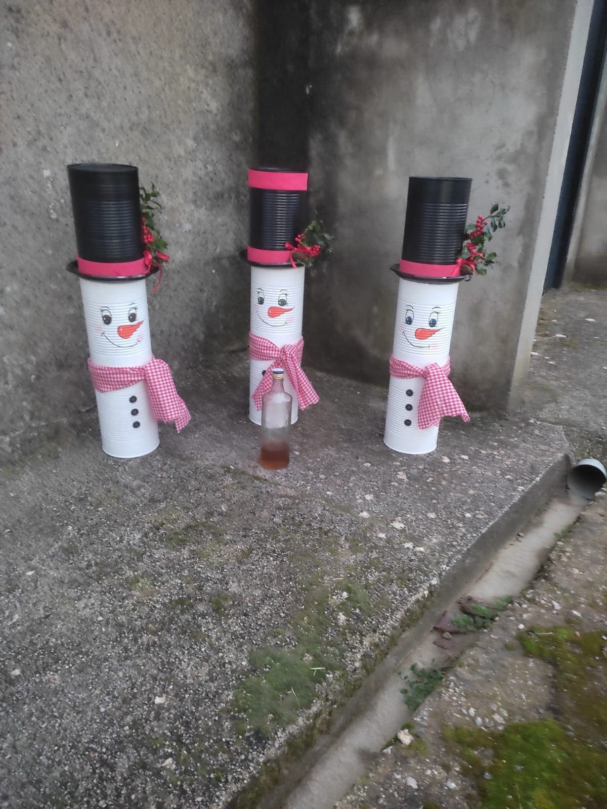 La Campañana (Carucedo) se anima a la decoración navideña del pueblo para animar las fiestas navideñas 11