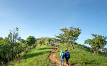 El Ayuntamiento de Ponferrada apoya con 4.000€ el proyecto “Camino para cambiar la diabetes” 3