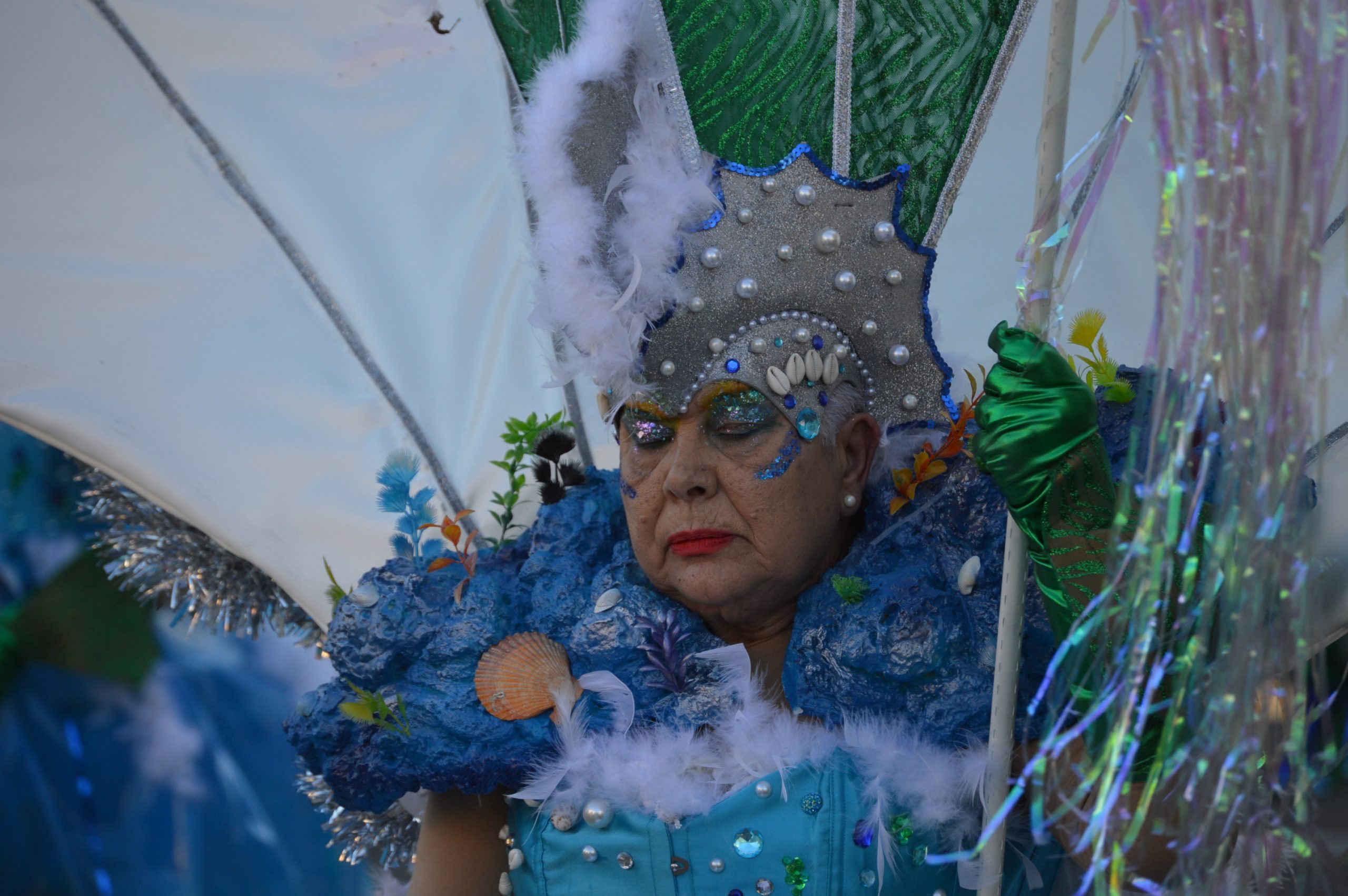 Carnavales en Ponferrada, el sol saca a la calle a miles de ponferradinos para disfrutar del desfile 88