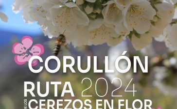 Corullón organiza el sábado una ruta para disfrutar la floración de los cerezos 1