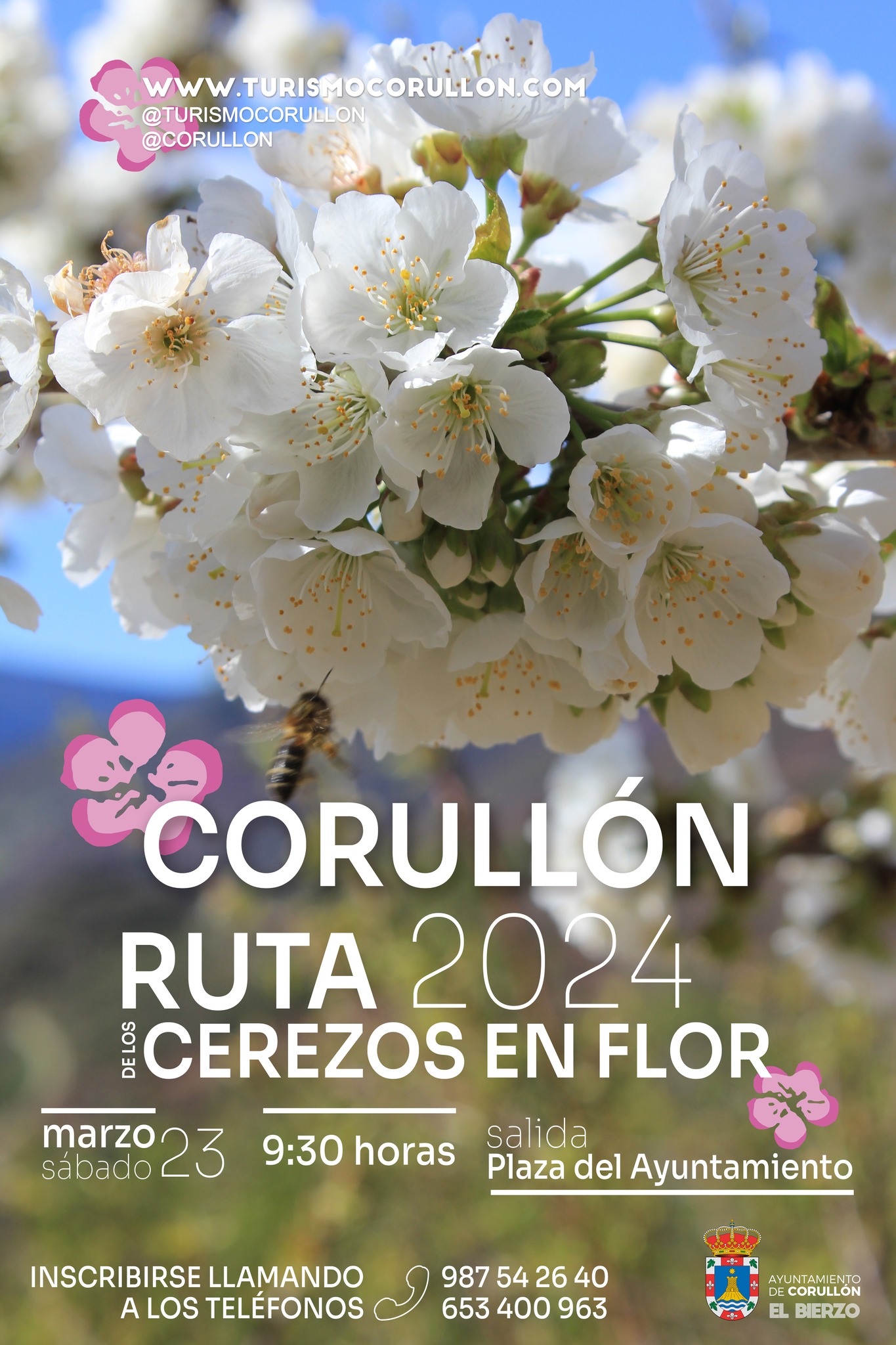 Corullón organiza el sábado una ruta para disfrutar la floración de los cerezos 8