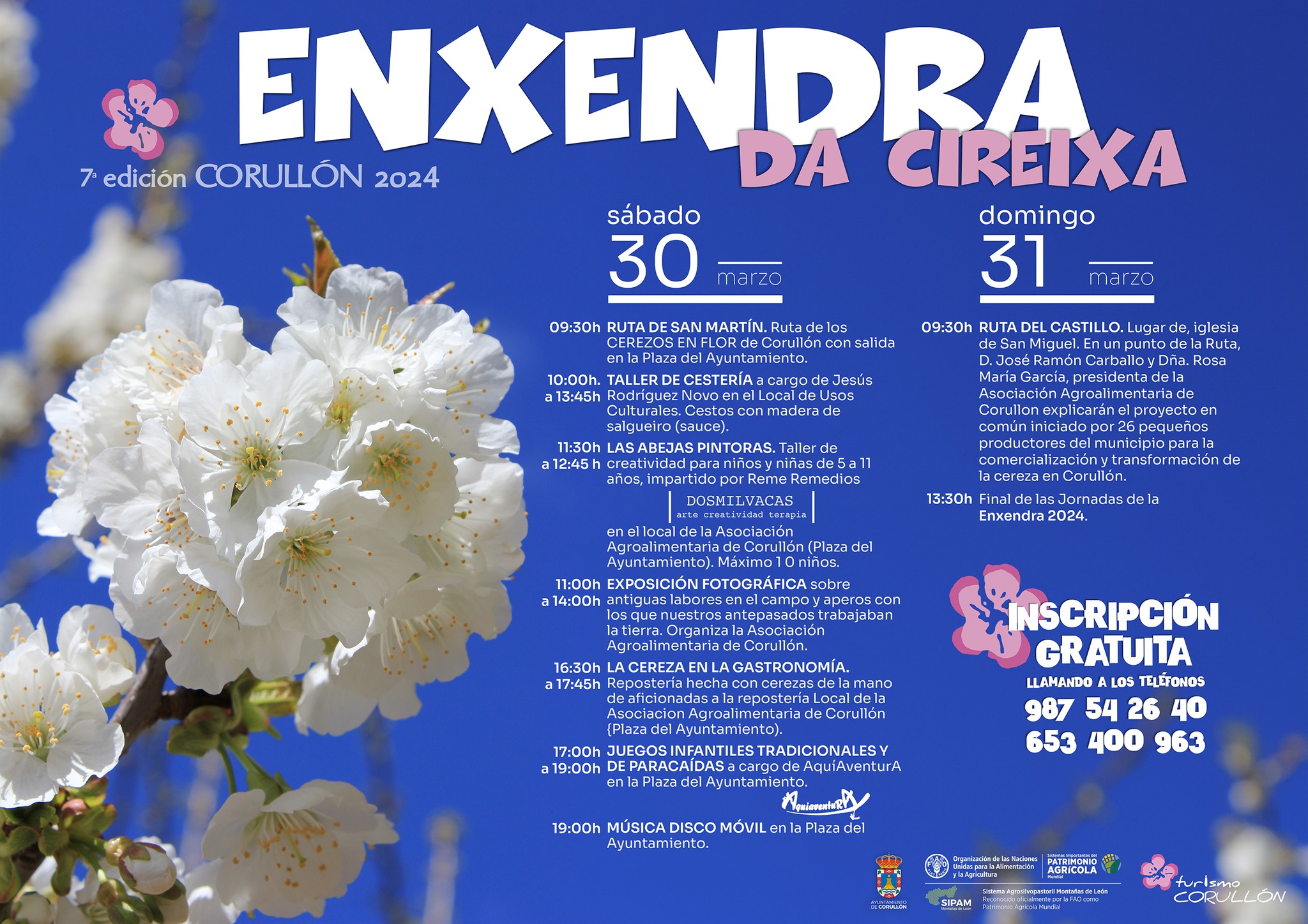 Corullón organiza un año más la 'Enxendra da Cireixa' con rutas, talleres, exposiciones y más actividades 3