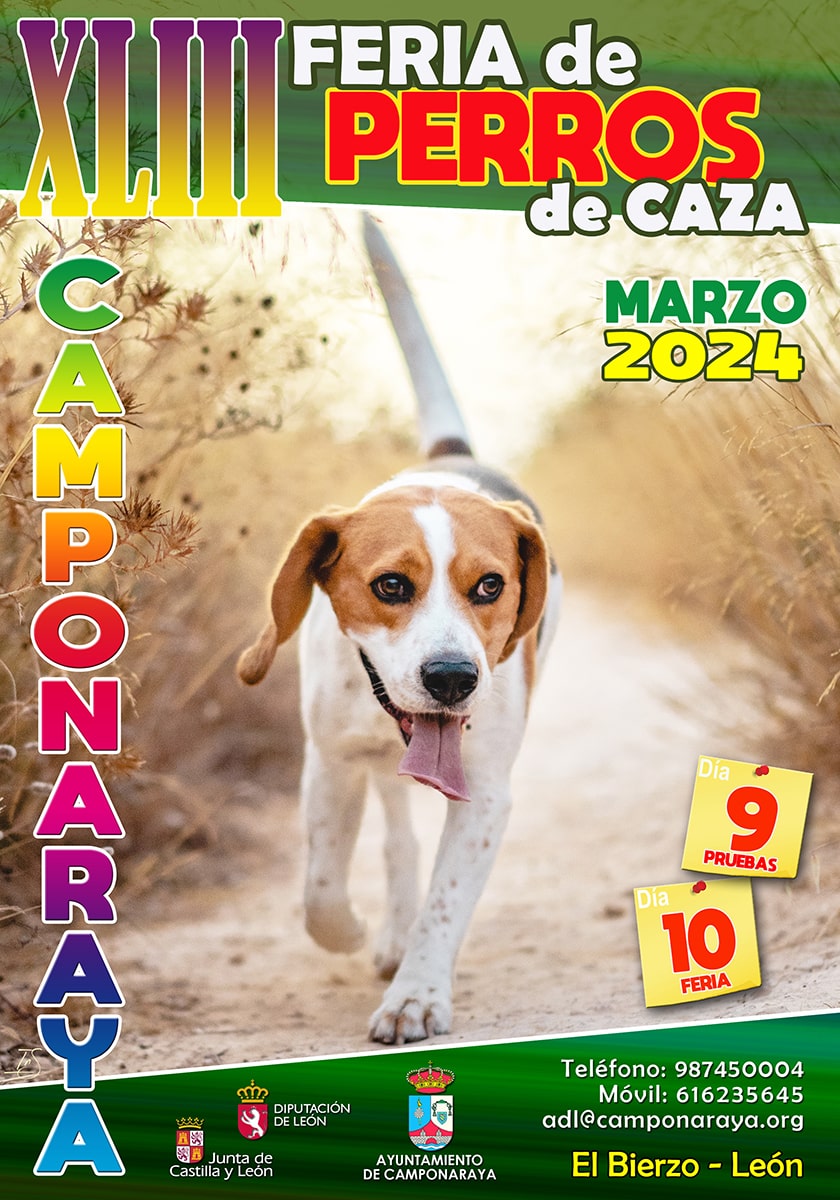 Camponaraya se prepara para la XLIII Feria de Perros de Caza que se celebrará el 9 y 10 de marzo 4