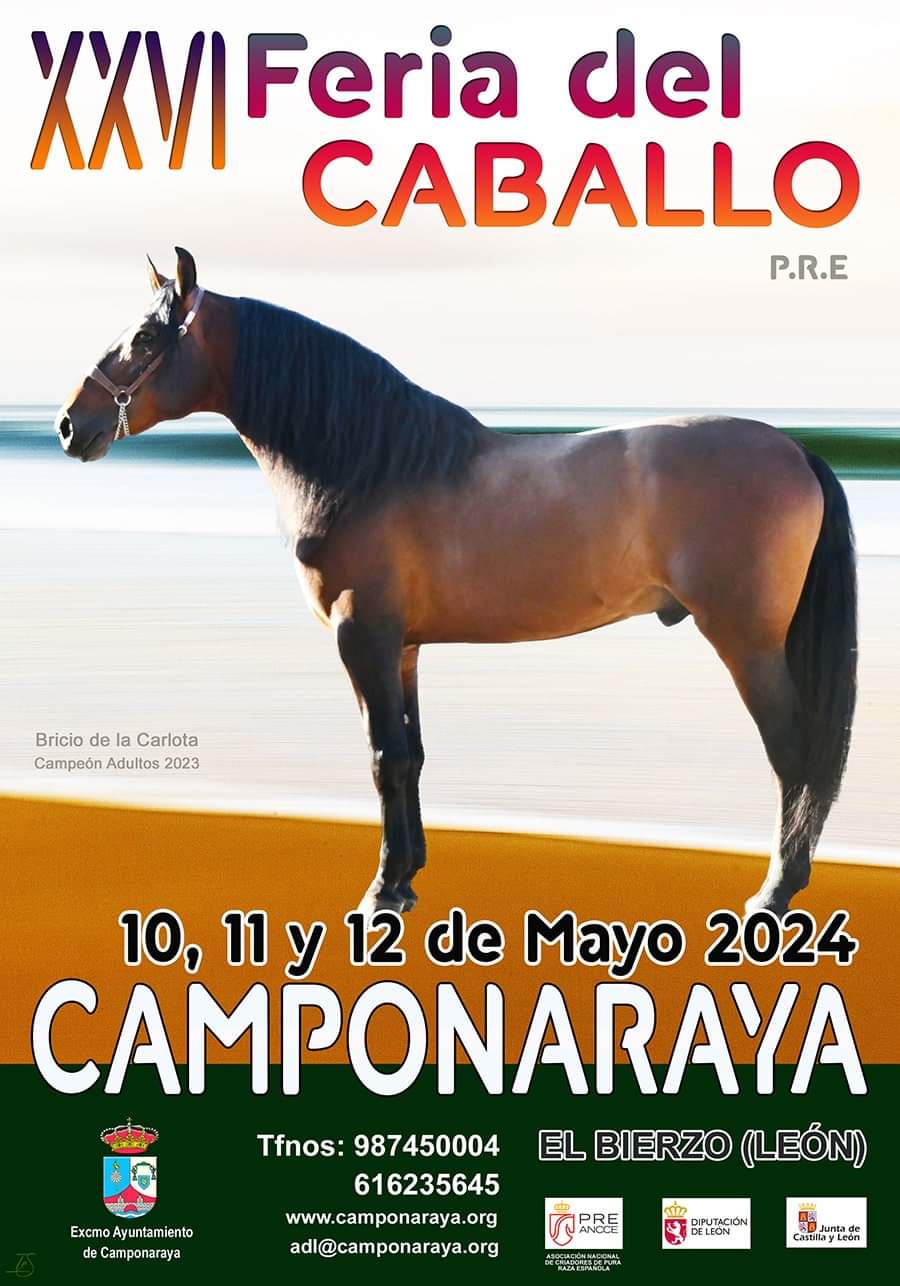 Camponaraya celebrará la XXVI edición de la Feria del caballo del 10 al 12 de mayo 2