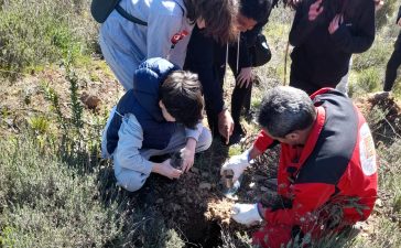 Alumnos del Gil y Carrasco plantan 200 encinas en el entorno de el monte Pajariel 2