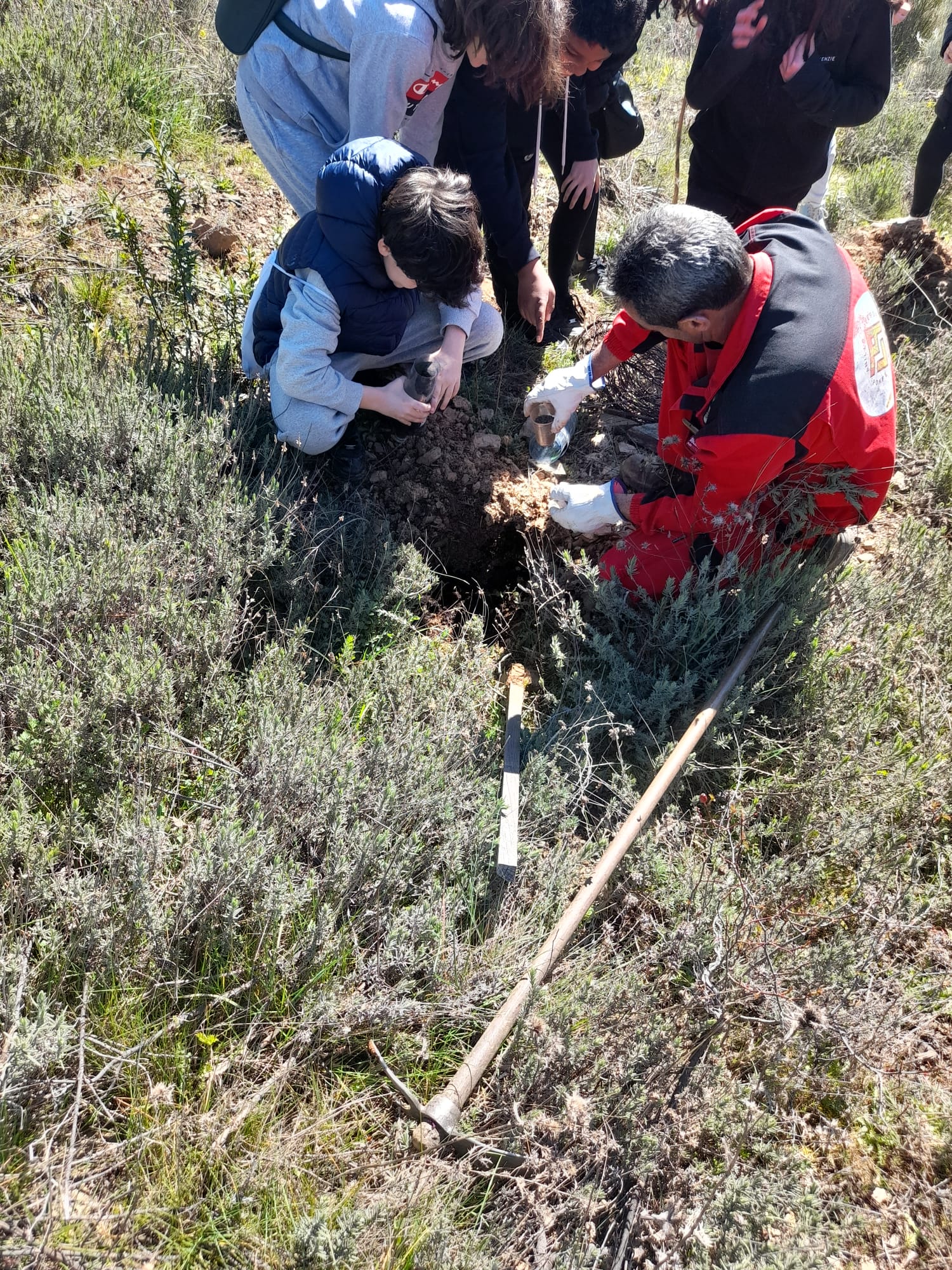 Alumnos del Gil y Carrasco plantan 200 encinas en el entorno de el monte Pajariel 1