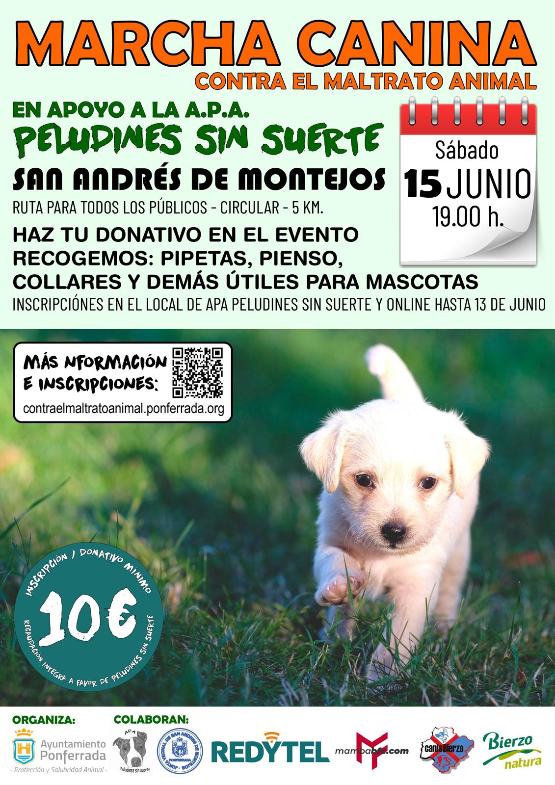 Marcha canina por San Andrés de Montejos a favor de peludines sin suerte 2