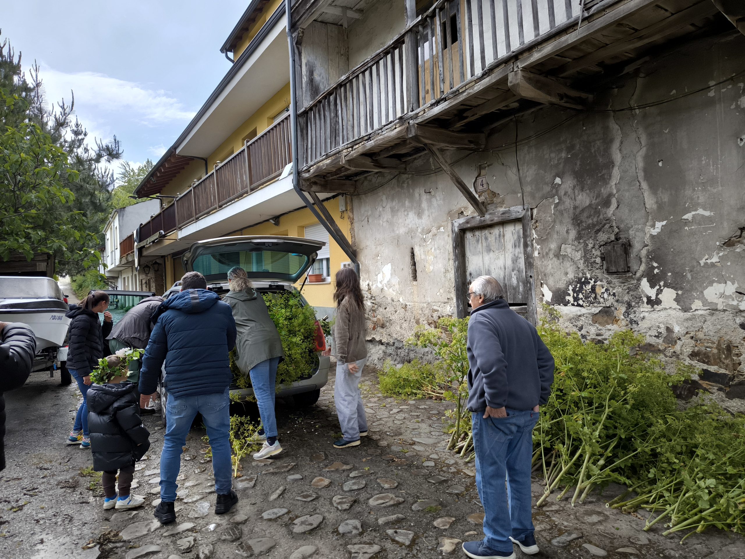 fotogalería| Los Maios de Villafranca; Cañaveira, cuerda pita, flores y ganas de celebrar el cambio de estación 9