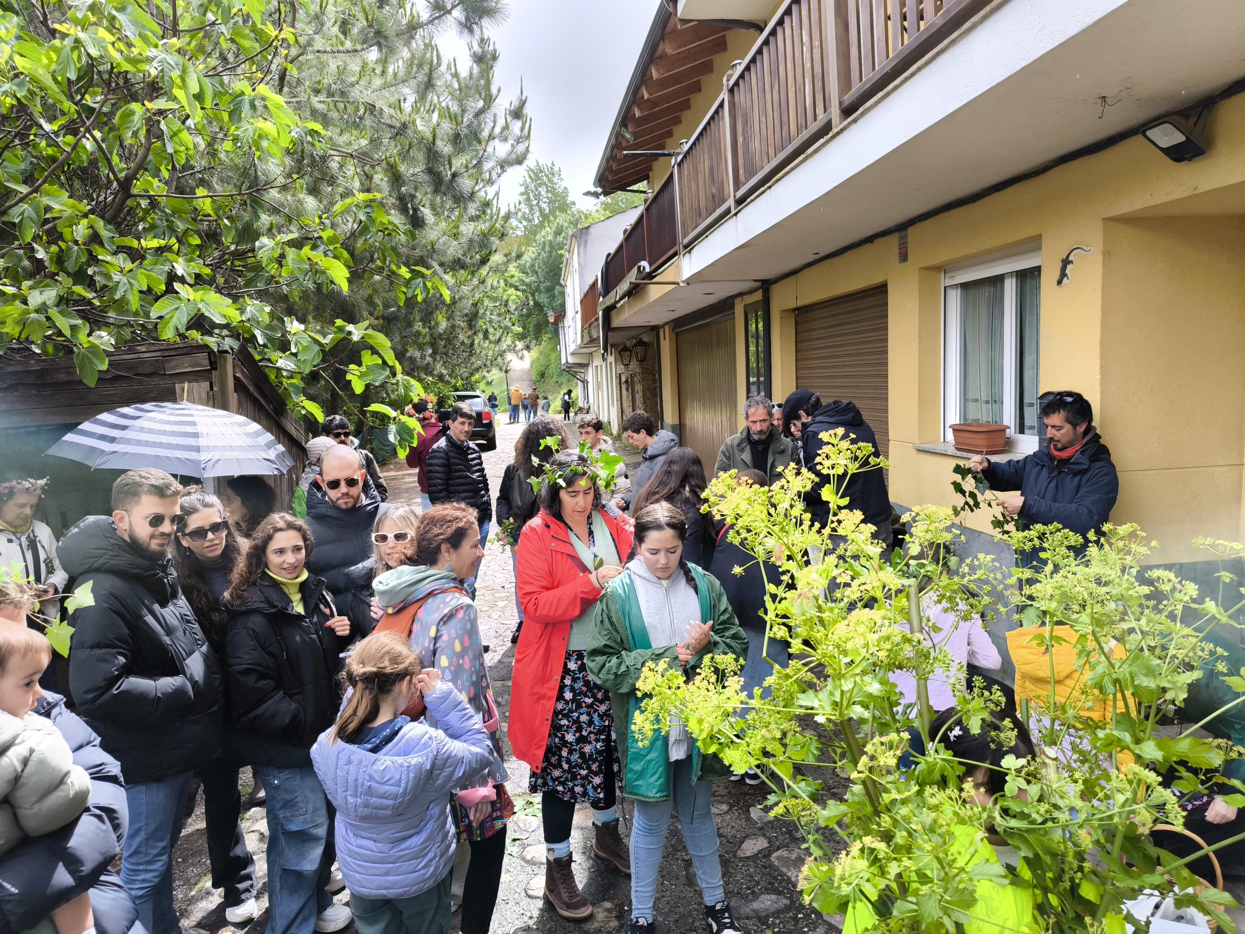 fotogalería| Los Maios de Villafranca; Cañaveira, cuerda pita, flores y ganas de celebrar el cambio de estación 7