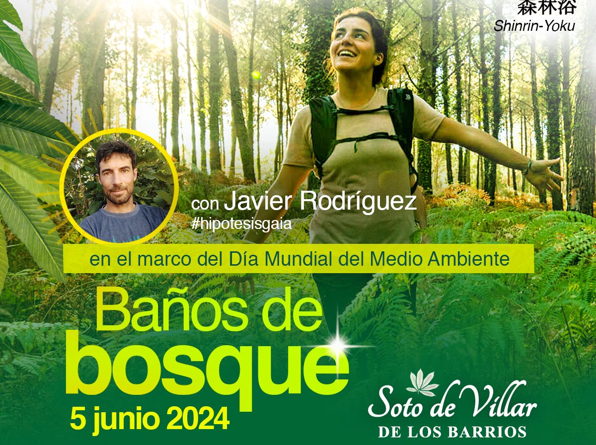 Regresan los 'Baños del Bosque' del año 2024 al Soto de Villar de los Barrios 1