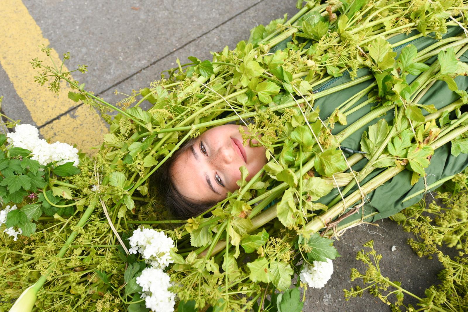 fotogalería| Los Maios de Villafranca; Cañaveira, cuerda pita, flores y ganas de celebrar el cambio de estación 50