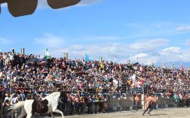 feria caballo camponaraya