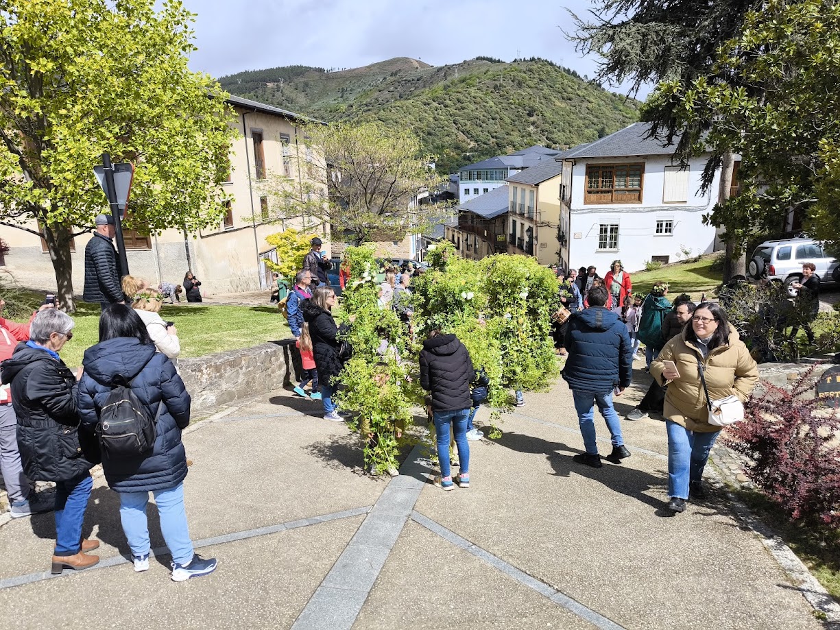 fotogalería| Los Maios de Villafranca; Cañaveira, cuerda pita, flores y ganas de celebrar el cambio de estación 51