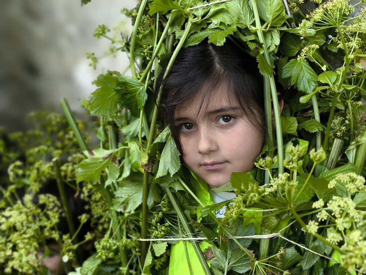 fotogalería| Los Maios de Villafranca; Cañaveira, cuerda pita, flores y ganas de celebrar el cambio de estación 42