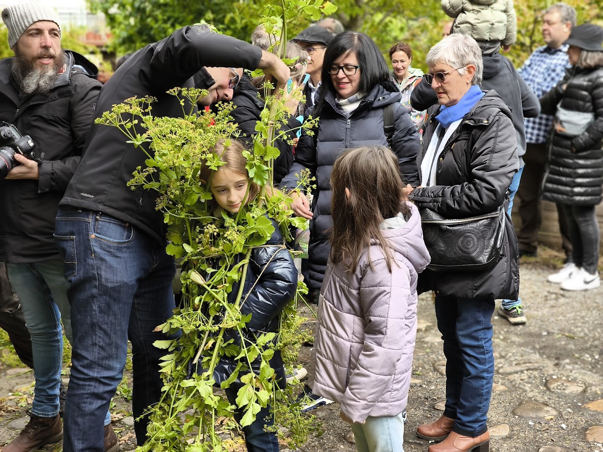 fotogalería| Los Maios de Villafranca; Cañaveira, cuerda pita, flores y ganas de celebrar el cambio de estación 46