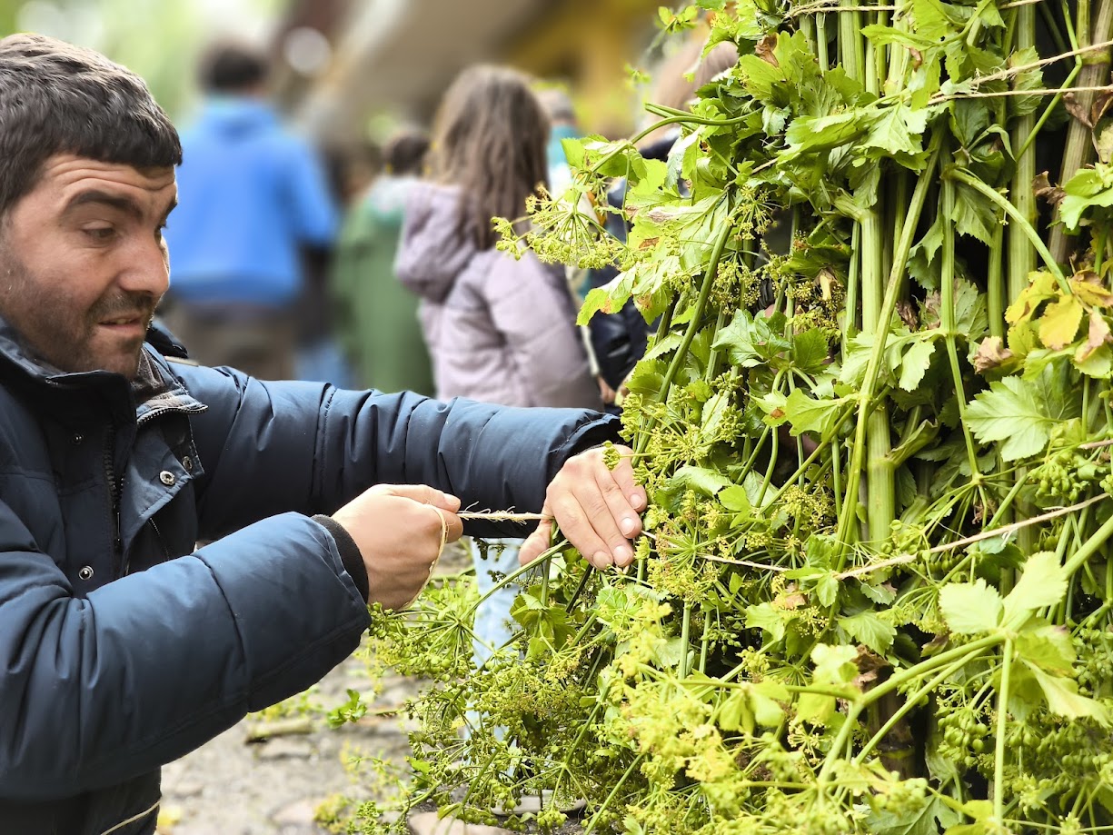 fotogalería| Los Maios de Villafranca; Cañaveira, cuerda pita, flores y ganas de celebrar el cambio de estación 1