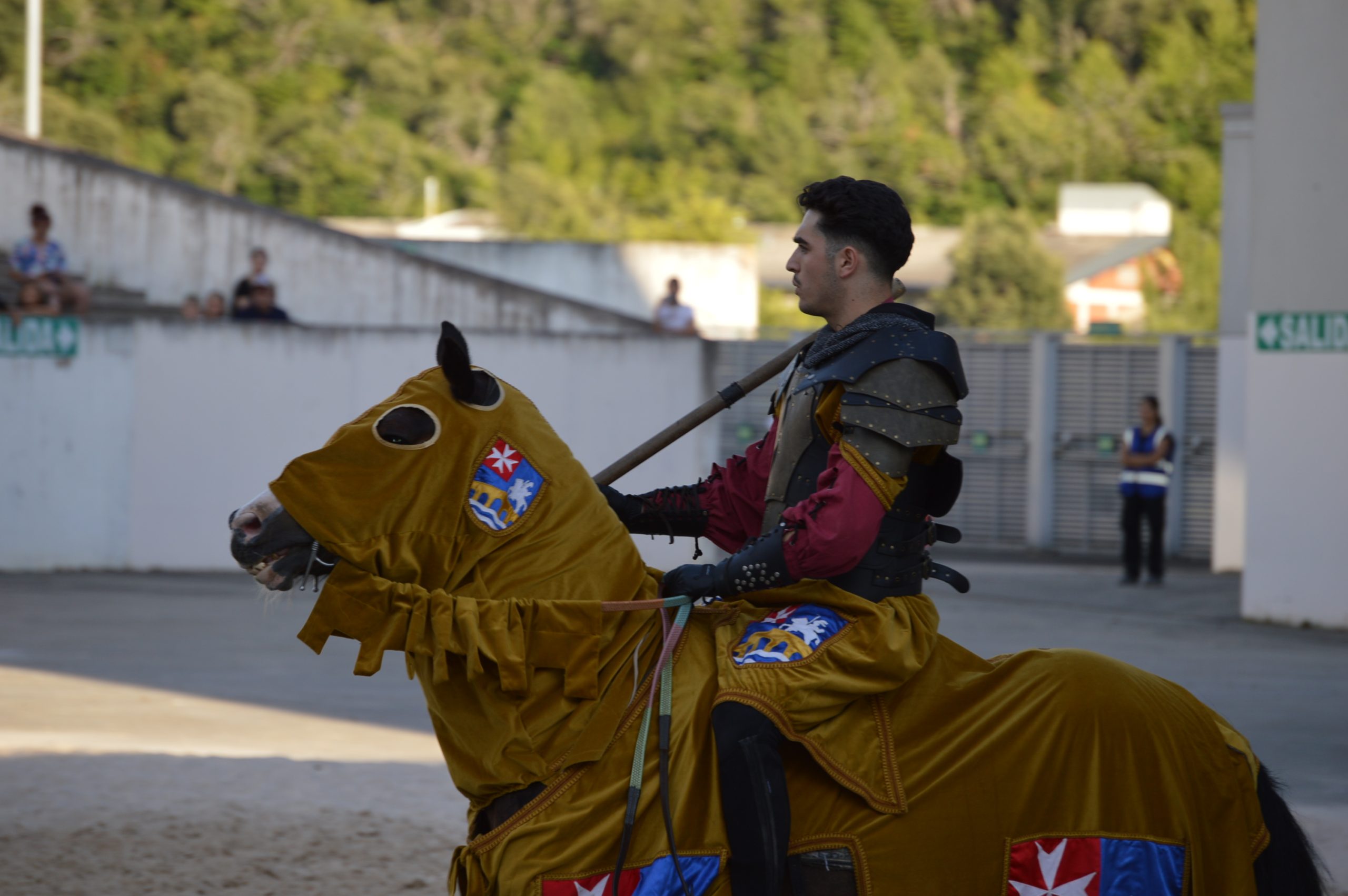 Las Justas medievales convierten en Auditorio de Ponferrada en un 'Grand Prix' de otros tiempos 14