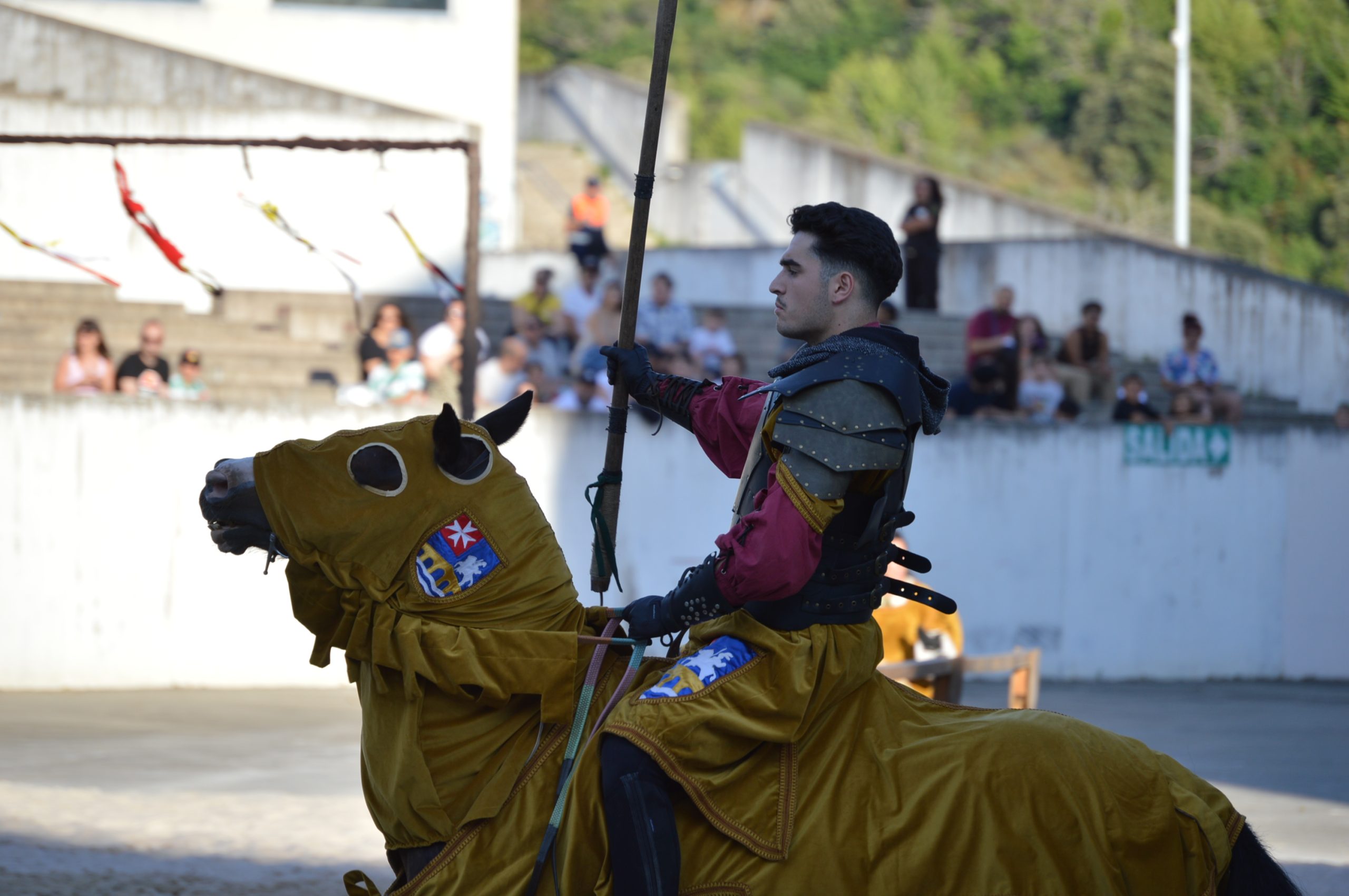 Las Justas medievales convierten en Auditorio de Ponferrada en un 'Grand Prix' de otros tiempos 33