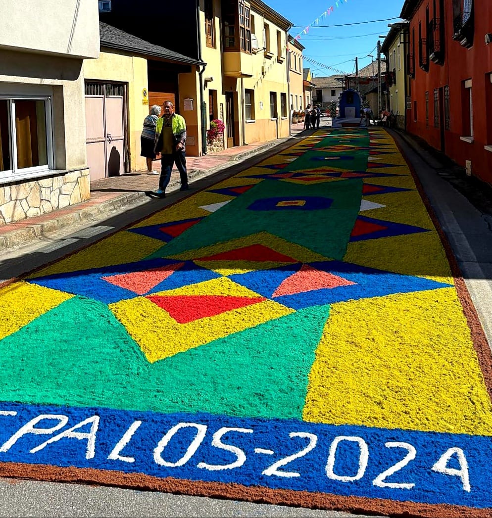 La alfombra floral que han creado los vecinos de Villadepalos para celebrar La Magdalena 2024 2